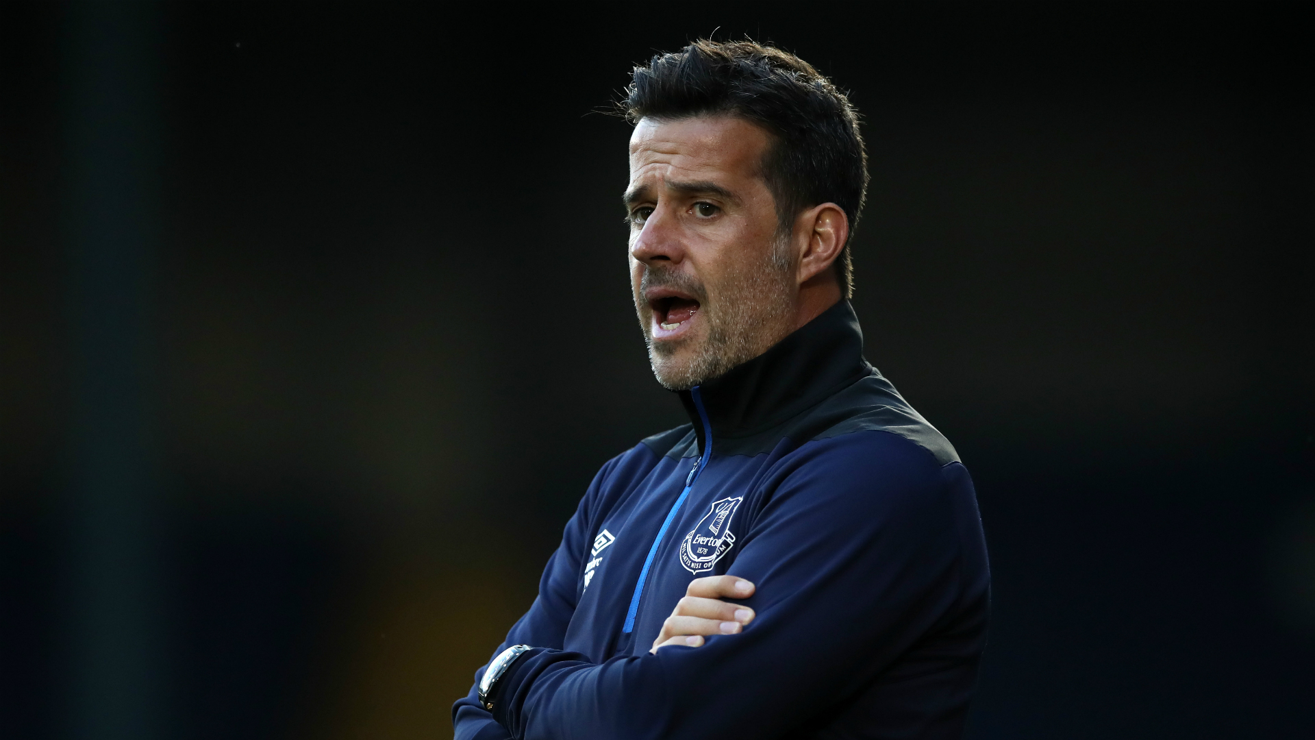 法布雷加斯 法布雷加斯